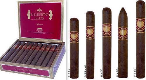 Gilberto Oliva Reserva 550 (Robusto)