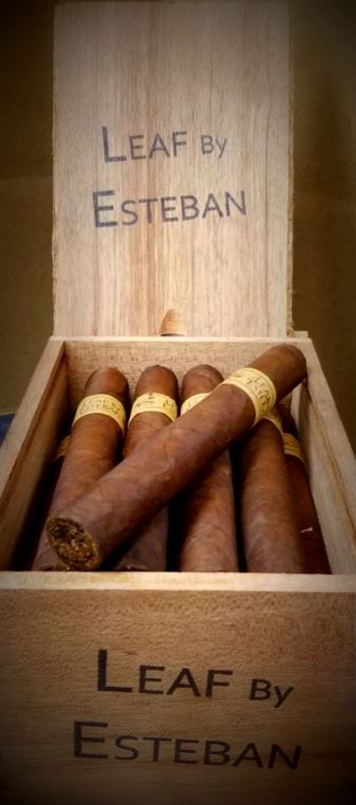 Leaf by Esteban Toro